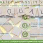 62 2020 Equality plans and their registration in Spain