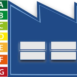 The Delegation Agreement within the CAE System in Spain: Specifics and Legal Requirements